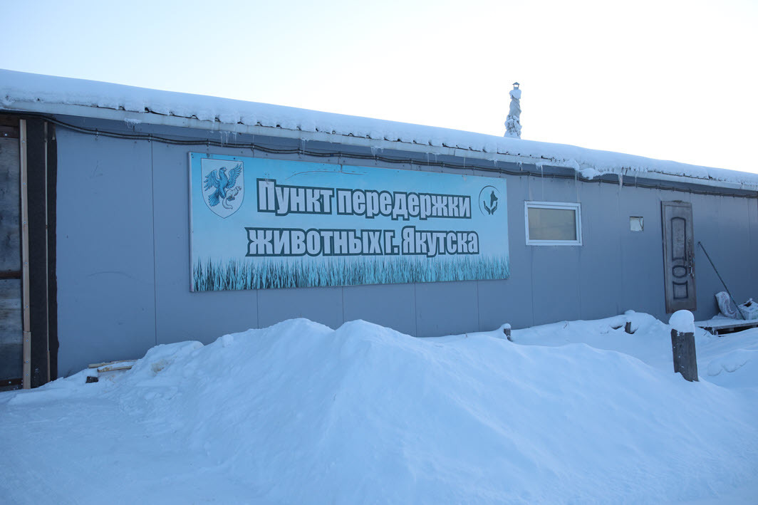 Верховный суд рассмотрит дело по иску о передаче государственных полномочий по обращению с безнадзорными животными