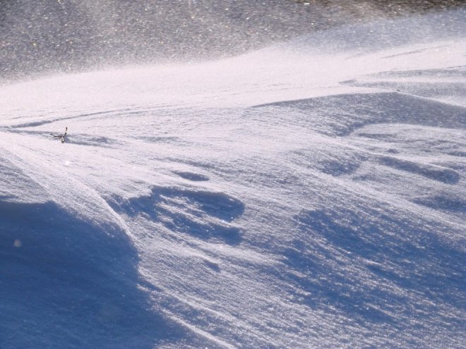 В Якутии в условиях арктической полярной ночи разыскана 7-летняя девочка, ушедшая из дома  в пижаме