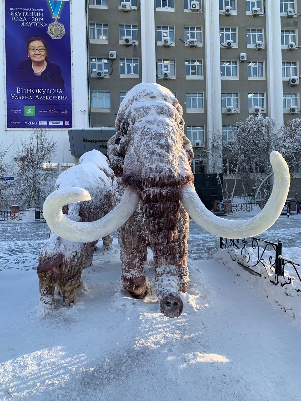 Фотофакт: Мамонта, стоящего перед мэрией Якутска, отремонтировали