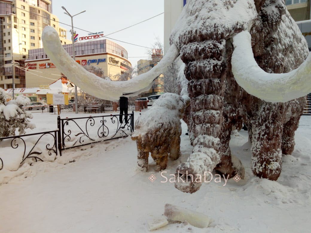 Фотофакт: У мамонта, установленного у мэрии Якутска, поврежден бивень