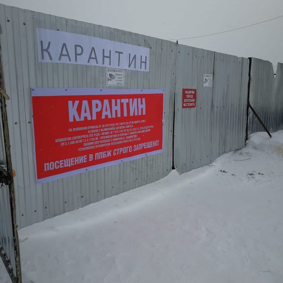 Оставшихся в пункте передержки Якутска животных подвергнут эвтаназии