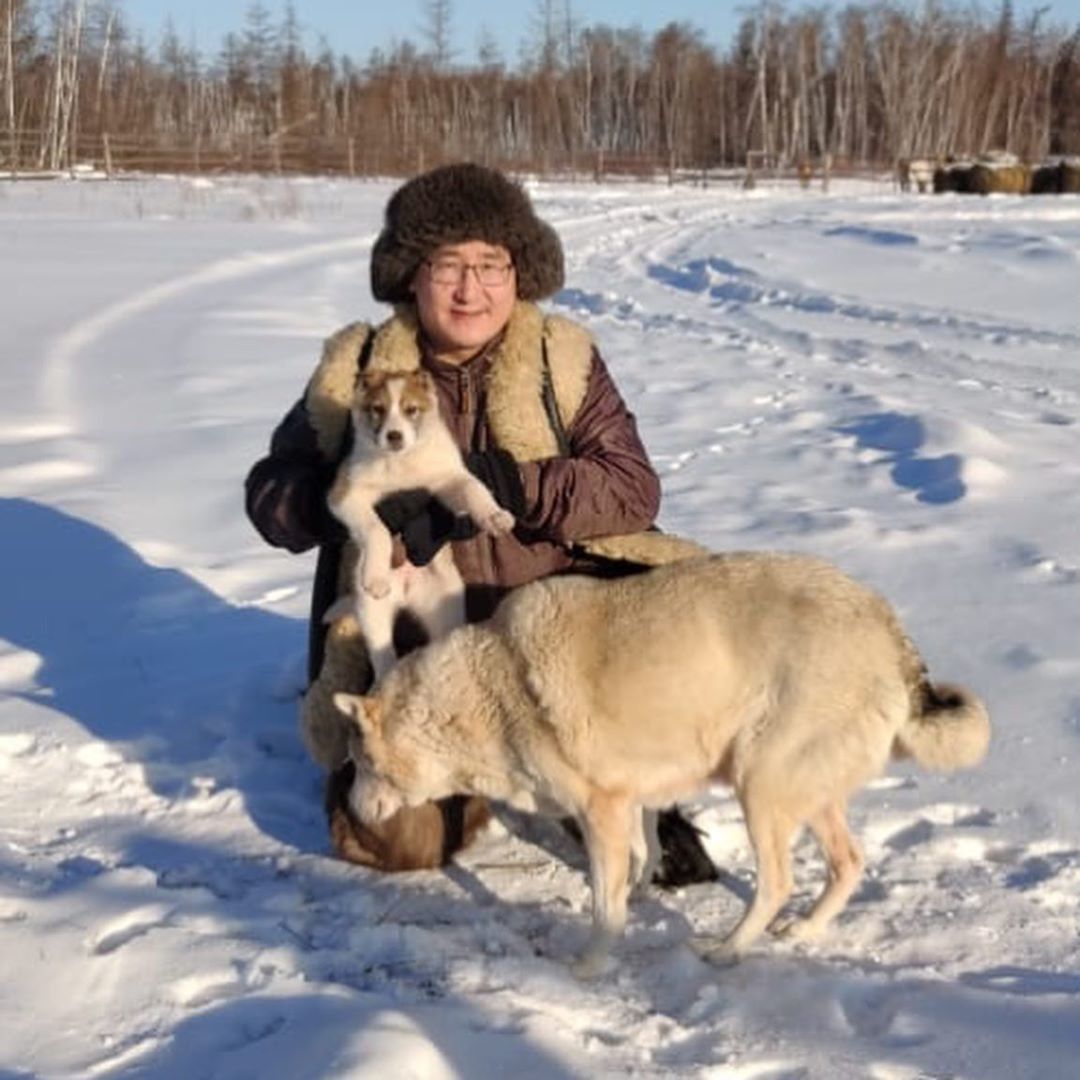 "Тема безнадзорных собак не уйдет еще  долго",   - спикер Ил Тумэна