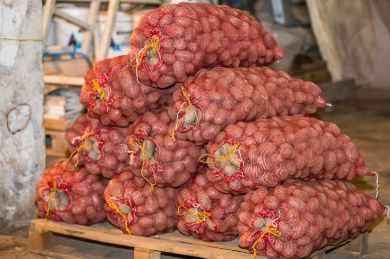 В Якутии население активно скупает местную картошку