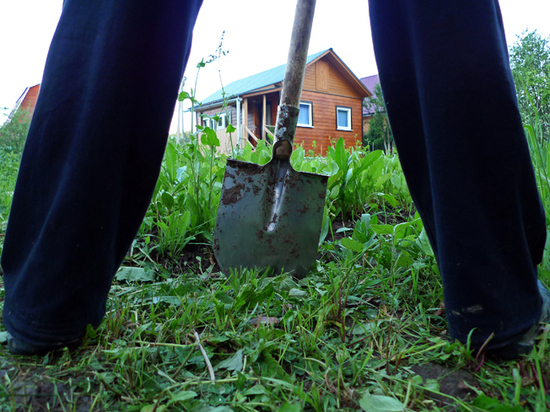 Власть готовит ограничения на майские праздники