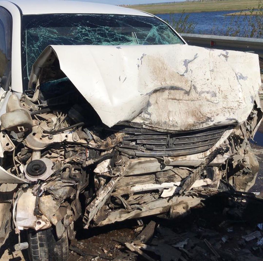 В Якутии произошло лобовое столкновение предположительно из-за коров на дороге. Погибли две женщины