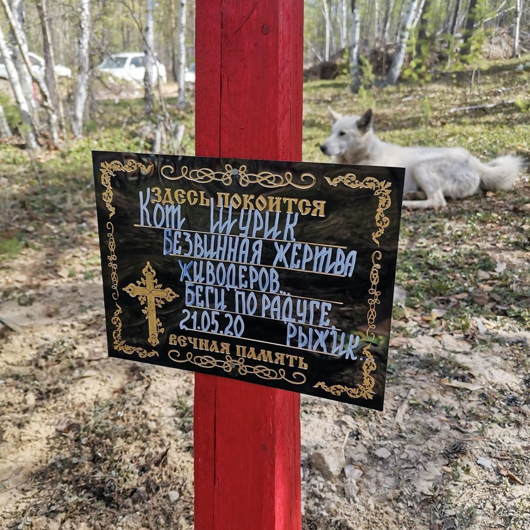 Фотофакт: Якутские зоозащитники похоронили кота и установили памятный знак