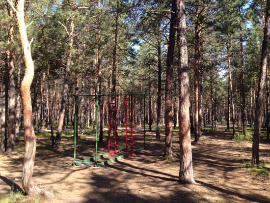 Мэр Якутска объяснила, почему открыли городской парк