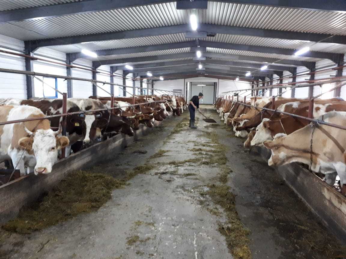 Алмазэргиэнбанк поддержал потребительский кооператив "Чурапча"