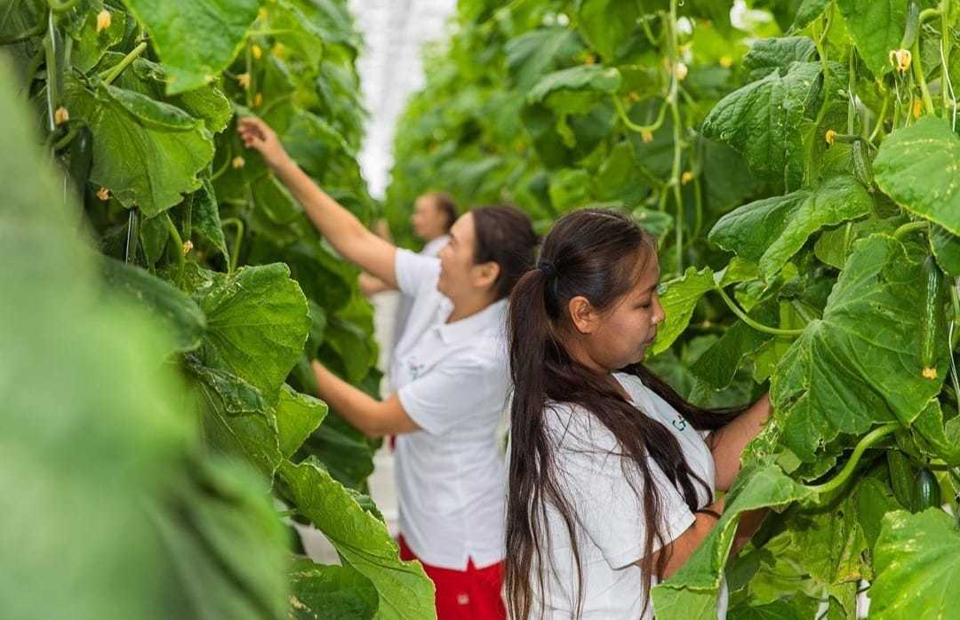 «Саюри» усилит контроль за утилизацией производственных отходов