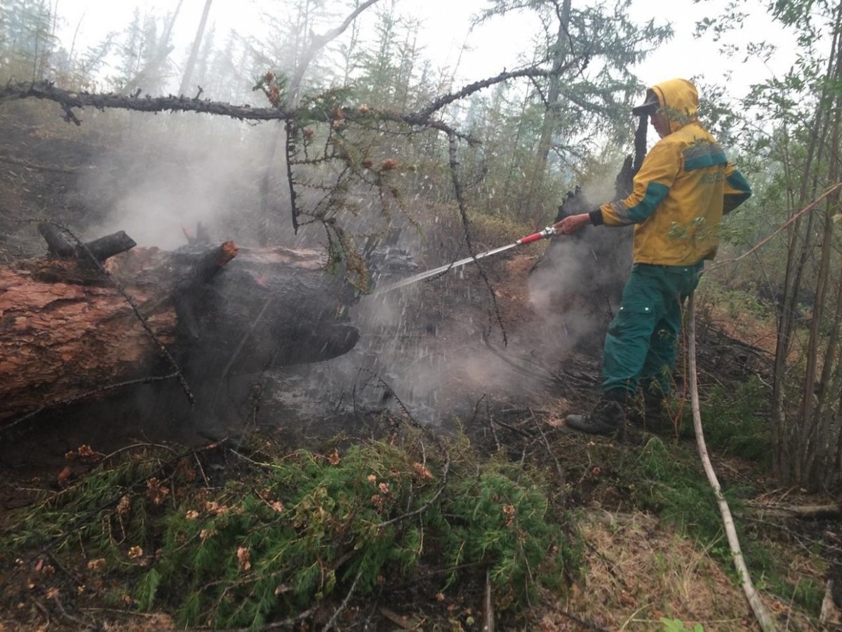 Оперативная информация о лесных пожарах на 27 июля