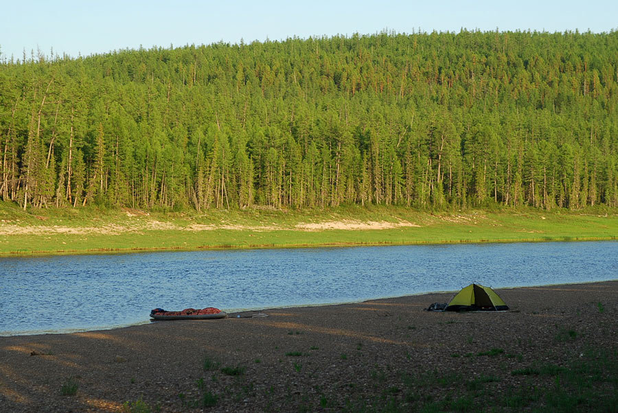 "Попросил бы штабы кандидатов в Амге не увлекаться педалированием этой темы", - Айсен Николаев о вырубке амгинского леса