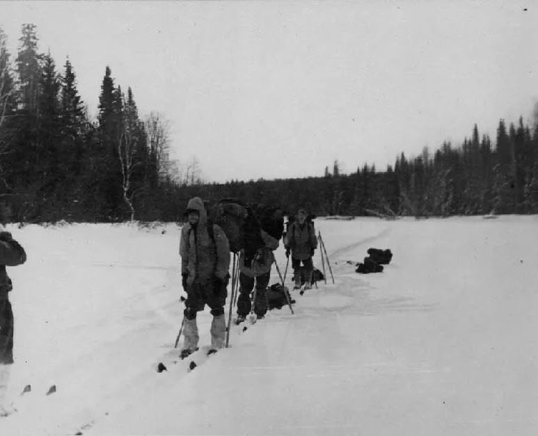 Раскрыта главная загадка столетия