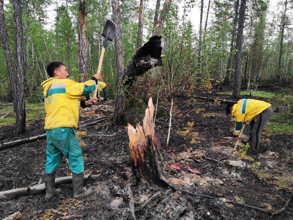 Оперативная информация о лесных пожарах на 10 августа