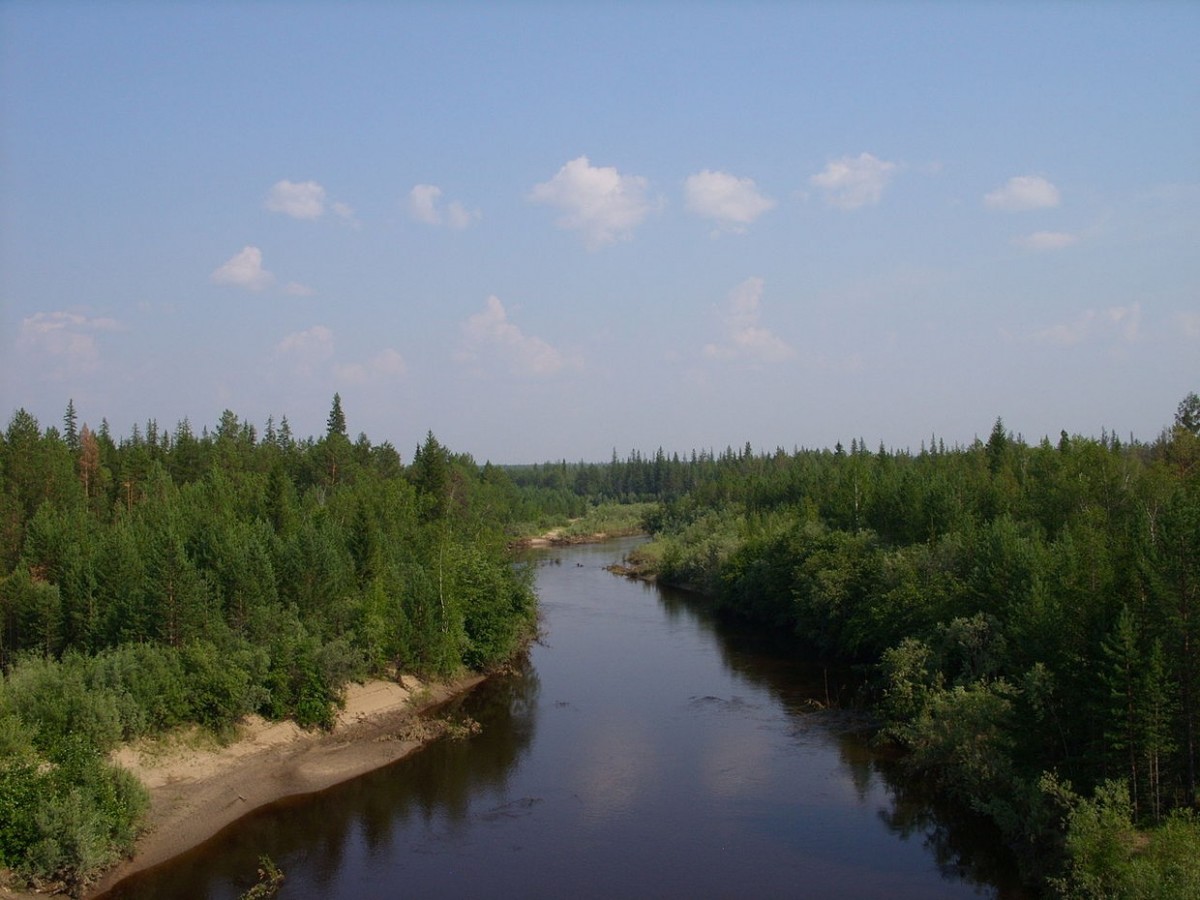 В Якутии возбуждено уголовное дело о незаконной рубке леса на особо охраняемой природной территории