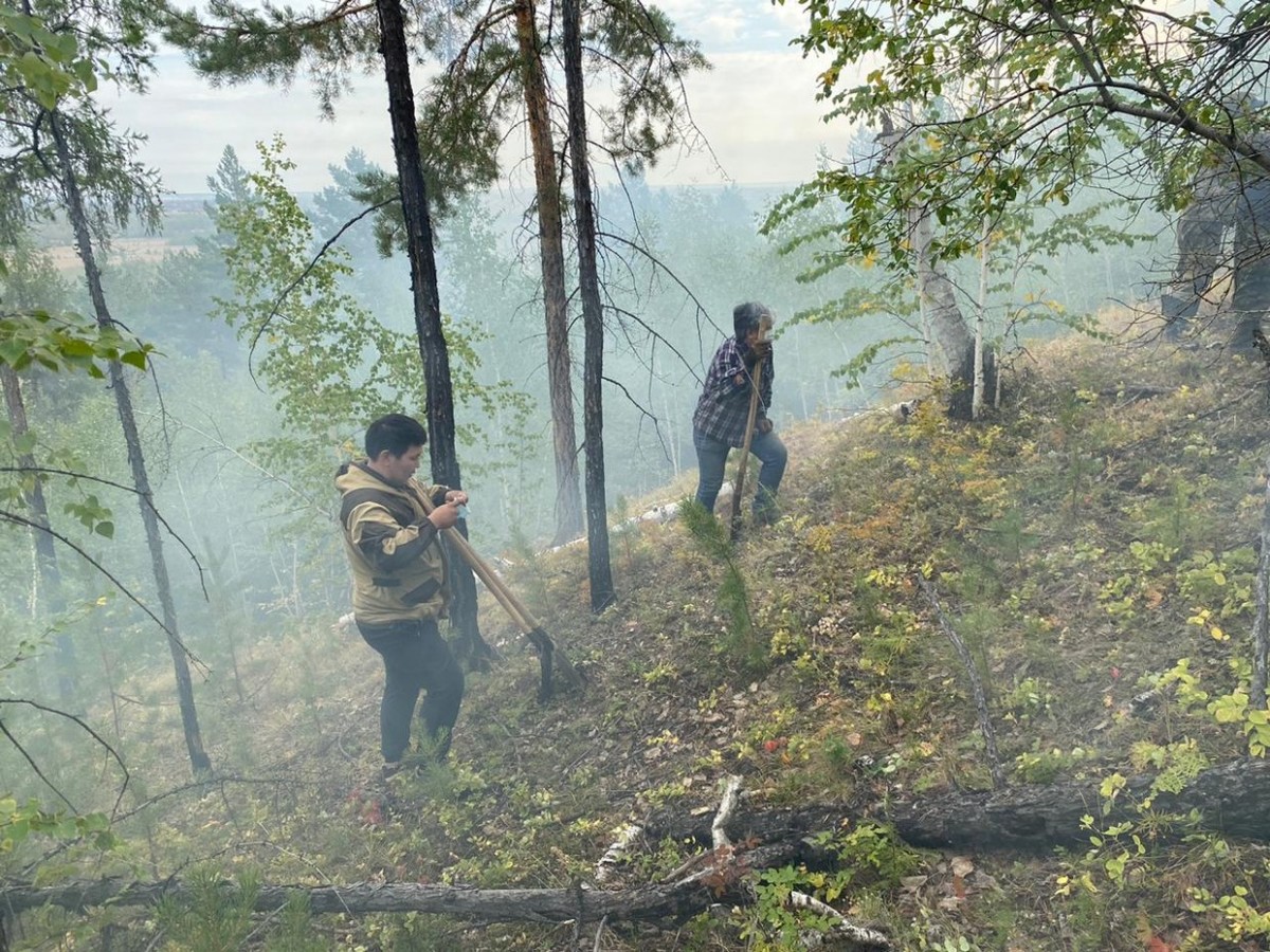 В Якутске локализован лесной пожар вблизи СОНТ «Сатал»