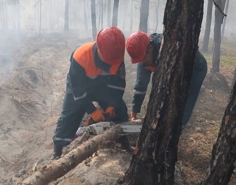 Лесные пожары в окрестностях Якутска локализованы