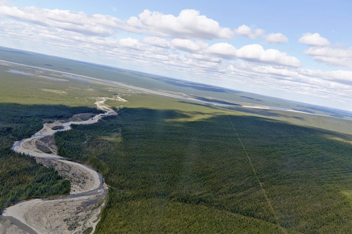 В Якутии обнаружили тоннели возрастом 540 млн лет, прорытые древними микроорганизмами