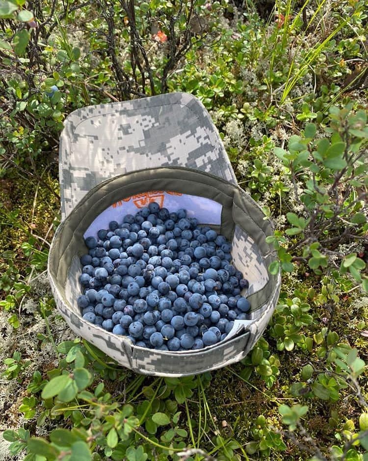 Дары якутского лета. Якутяне делятся в соцсетях фотографиями собранных ягод