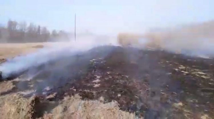 Видео: В Чурапчинском районе ведется розыск мотоциклиста, пустившего лесной пожар