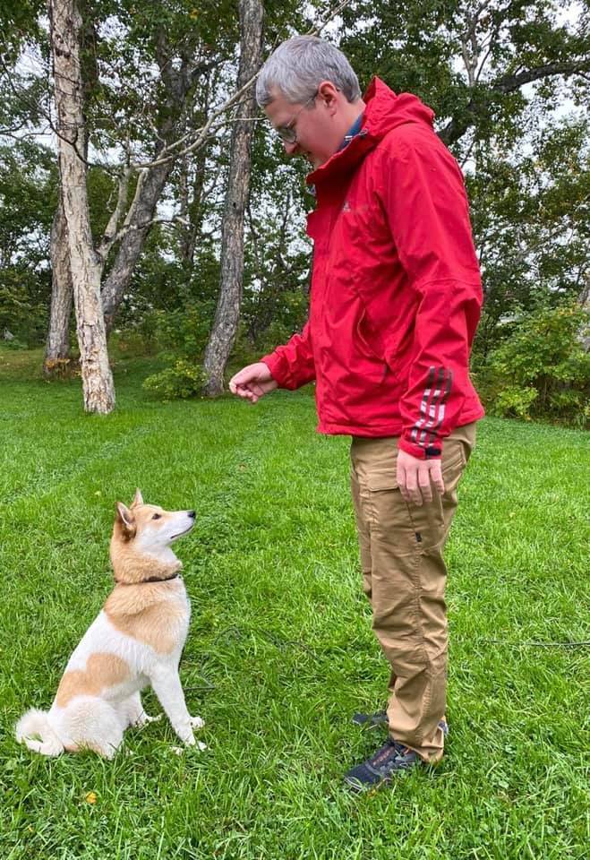 Фотофакт: Владимир Солодов завел собаку