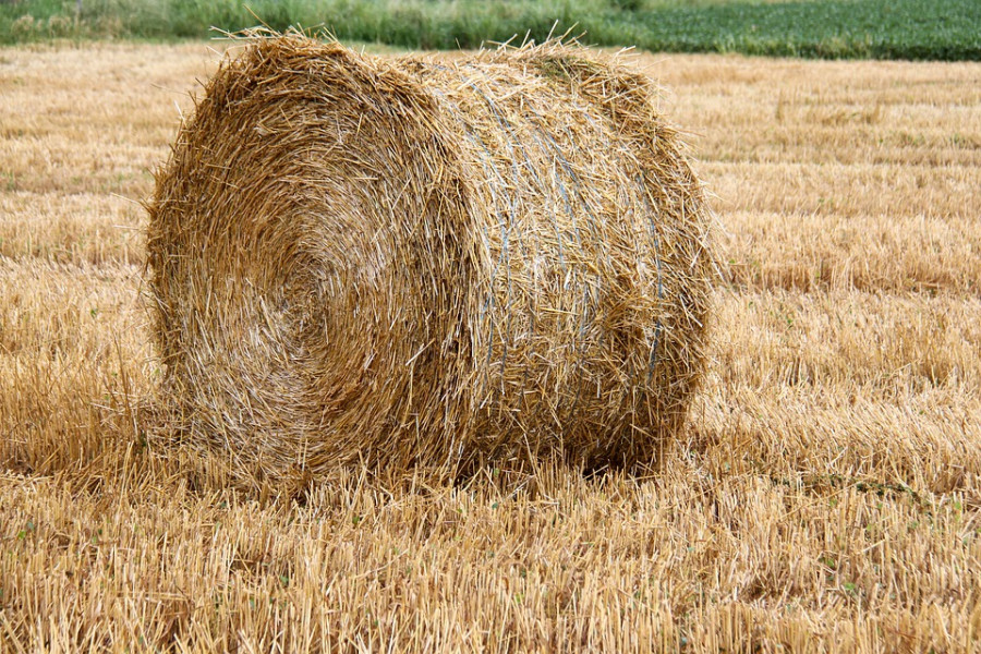 В администрации чурапчинского села опровергли слухи о кончине фермера из-за пожаров, уничтоживших все сено