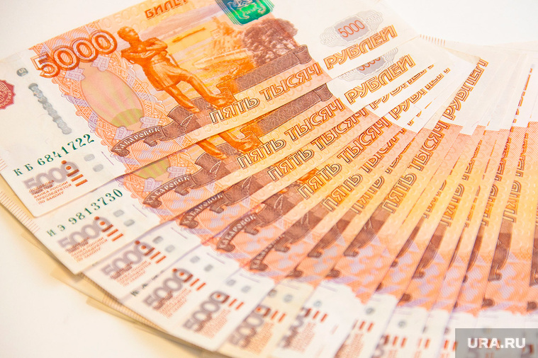 В Минобрнауки РФ оценили идею раздавать студентам по 500 тысяч