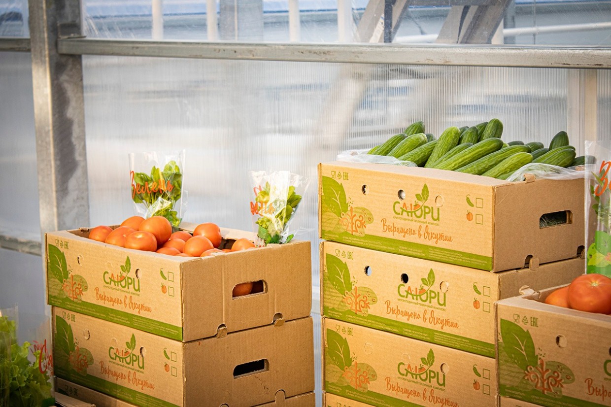 Еще больше свежих овощей и зелени круглый год. Третью очередь тепличного комплекса «Саюри» открыли в Якутске