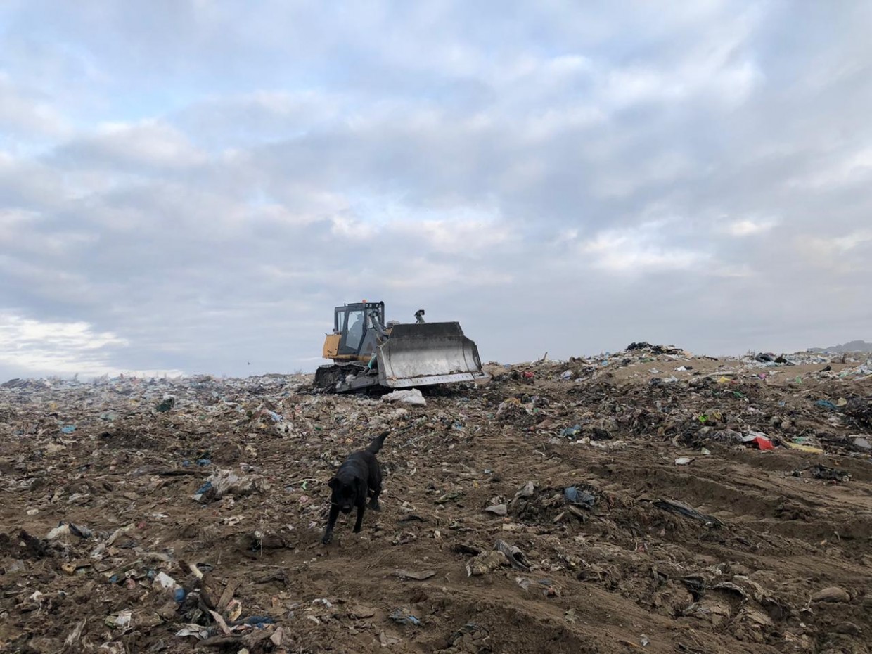 Региональному оператору ТКО из-за долгов на десятки миллионов рублей ограничен ввоз мусора на городской полигон