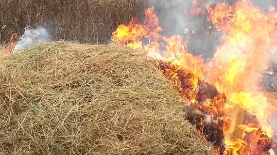В Якутии возбуждено уголовное дело о халатности должностных лиц при организации тушения лесных пожаров
