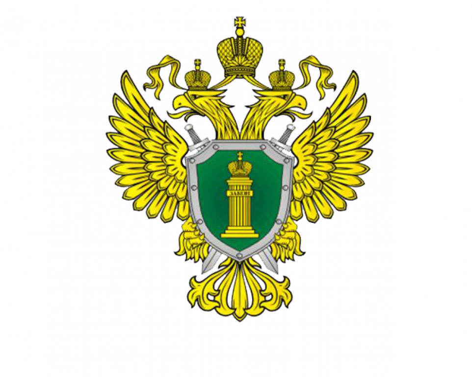 Какую ответственность несут организаторы и участники незаконных публичных мероприятий?