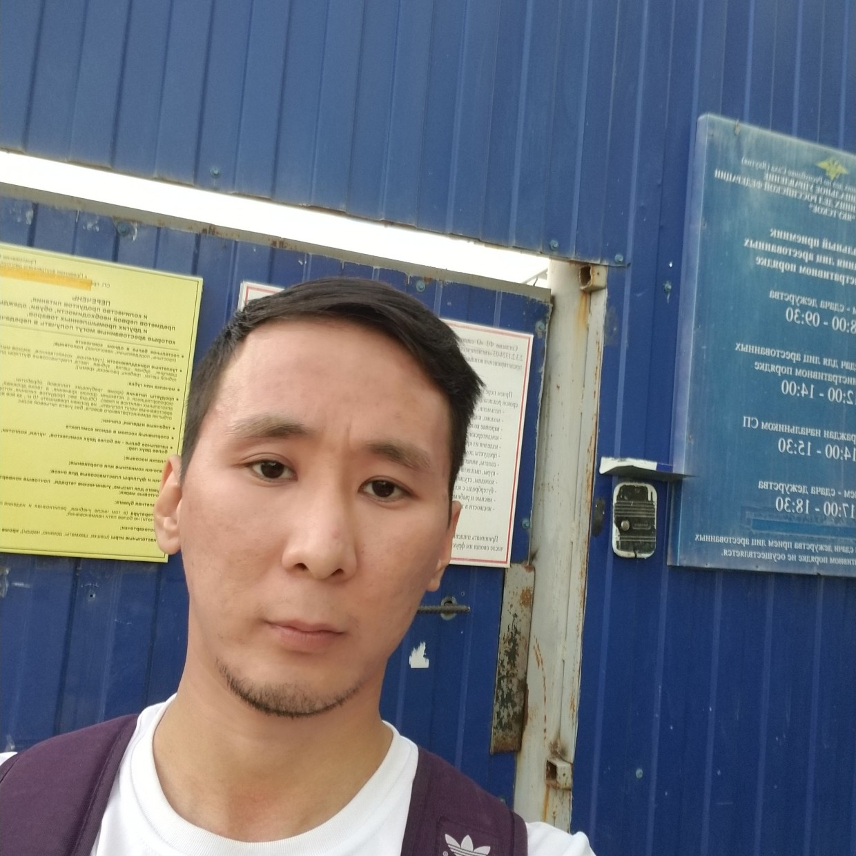 Анатолию Ноговицыну не удалось оспорить штрафы за одиночные пикеты