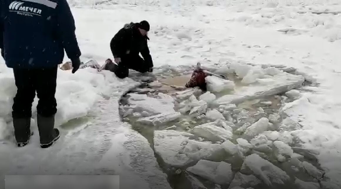 На ледовой переправе Кангалассы-Соттинцы провалился автомобиль