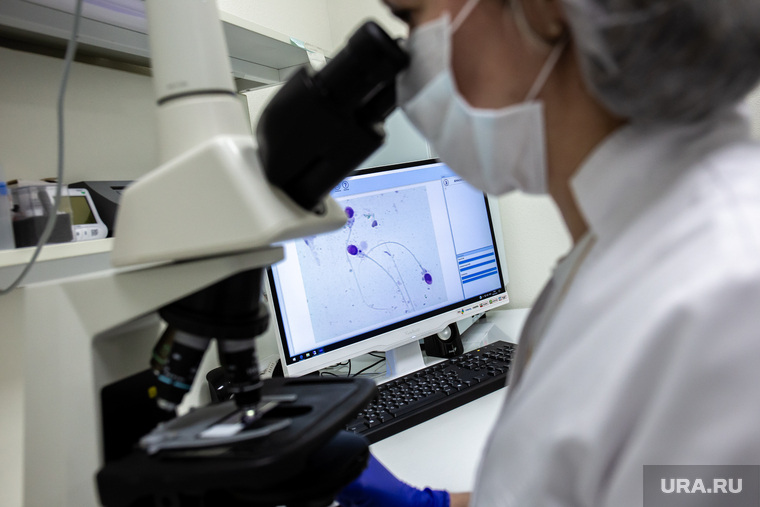 На борьбу с пандемией коронавируса уйдет больше двух лет