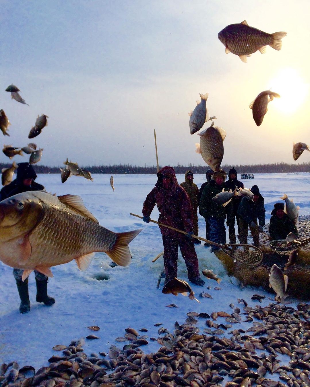 Автором популярного снимка «Летающие караси» оказался глава Кобяйского улуса