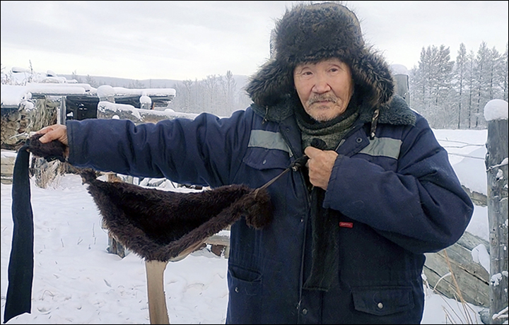 The Siberian Times: Житель Оймякона сделал для своих коров меховые бюстгалтеры