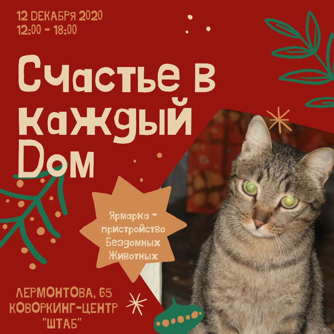 В Якутске состоится ярмарка по пристройству бездомных животных