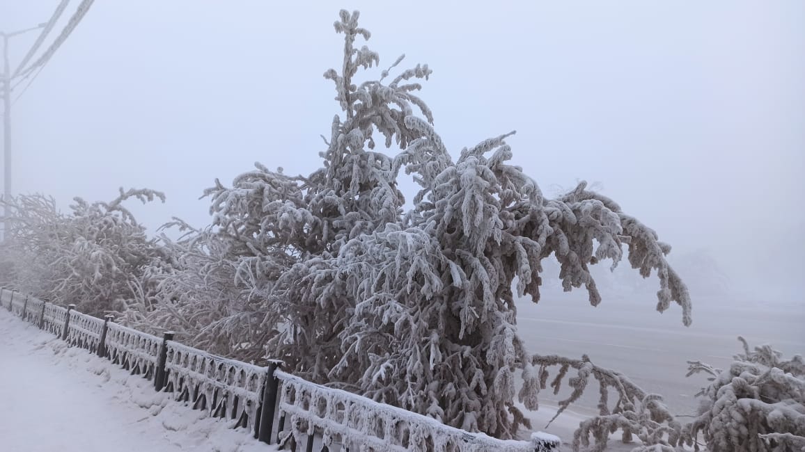 «Я не ошибся. В северных районах прошло жаркое лето», - народный синоптик Тускул