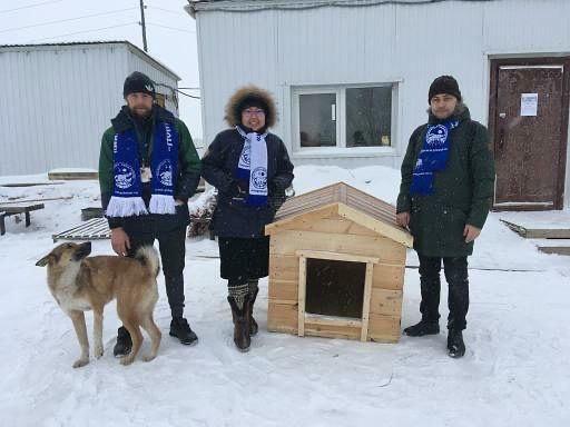 «Дом для друга»: жители Якутска построили 135 теплых будок, чтобы спасти бездомных животных от морозов
