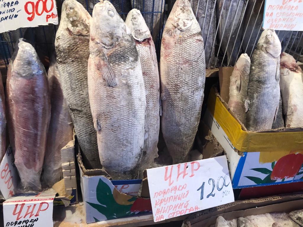 В Якутске продавцы не торопятся снизить цену на рыбу в связи с потеплением