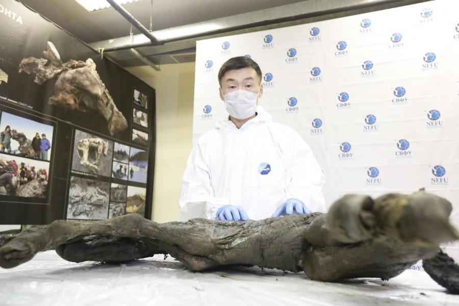 Знак «Слава и величие СВФУ» посмертно вручен Семену Григорьеву