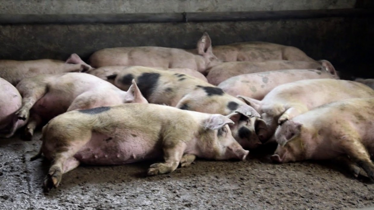 В Якутии расширяются меры поддержки аграриев