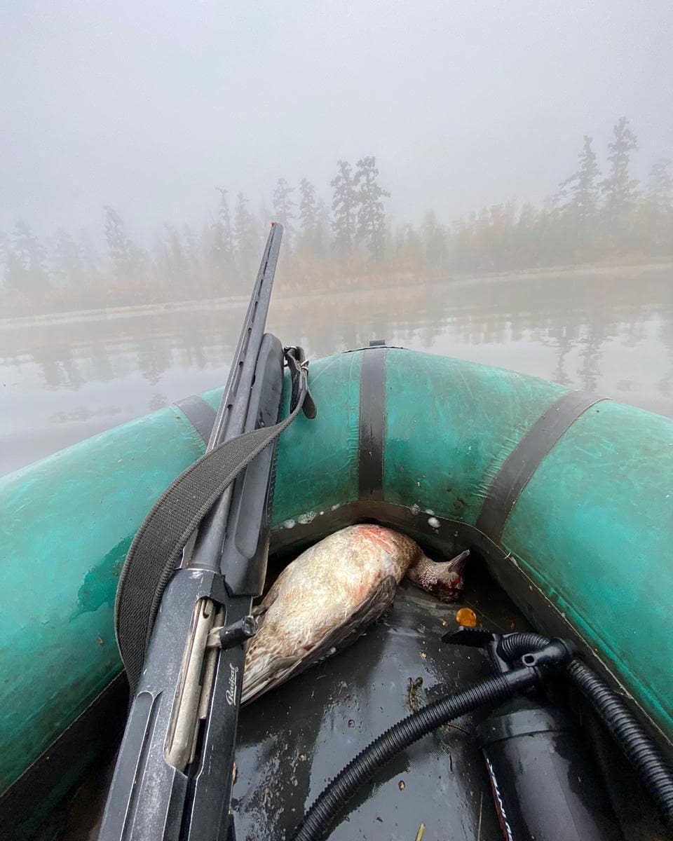 "Таких информаторов единицы", - в Нюрбе прокомментировали сообщение о "доносах" за лицензии на охоту