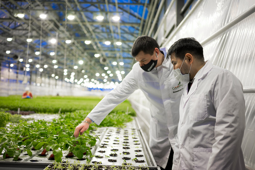 Евгений Григорьев: Агропояс Якутска будет расширяться