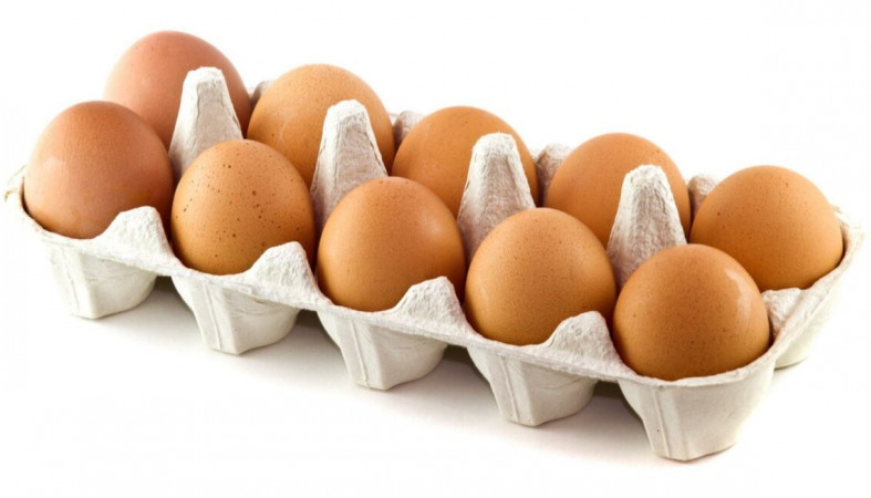 Рост цен на яйца и мясо птицы в России проверят