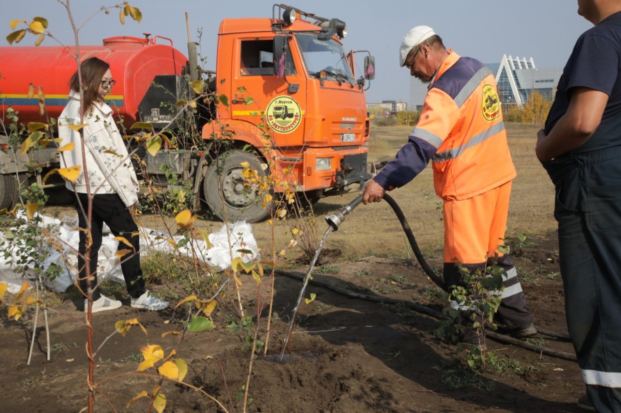 В Якутске определены две территории для лесопитомника