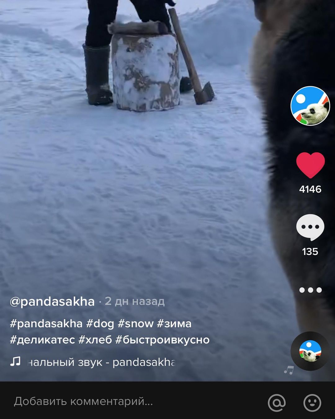 Видео якутского блогера с бутербродом с чонку признано шокирующим контентом