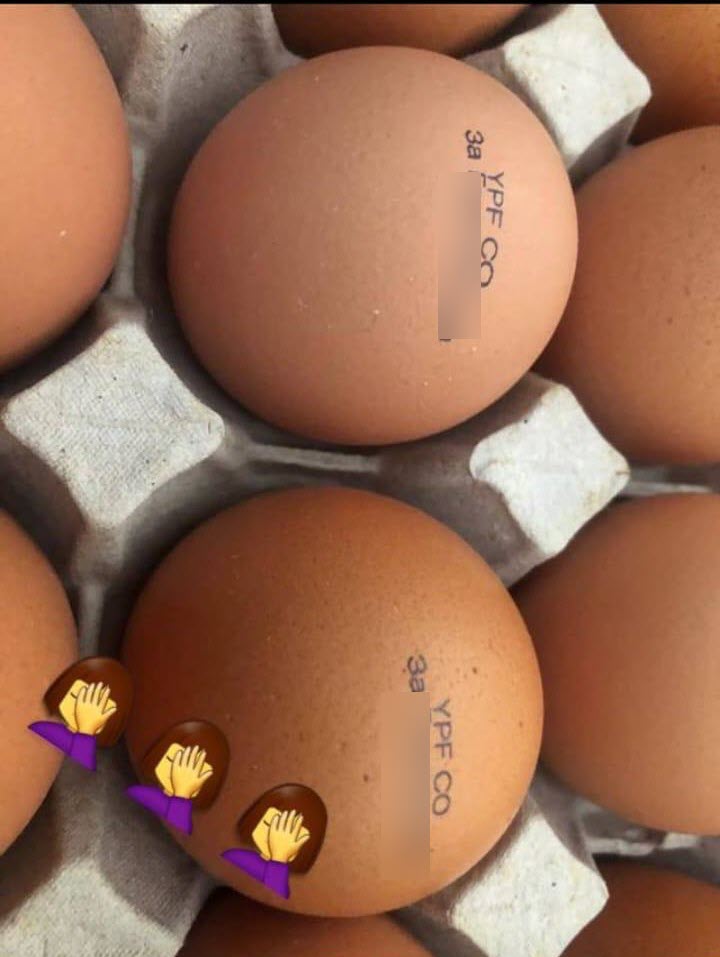 На яйцах появились призывы голосовать за одного из кандидатов на выборах мэра Якутска?