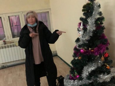 В отношении женщины, укравшей новогоднюю елку, возбуждено уголовное дело