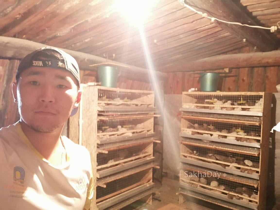 Молодой фермер разводит перепелок в Амгинском районе