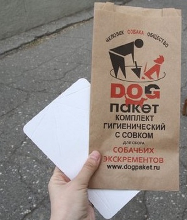 Депутат из Санкт-Петербурга предложил отправить в Якутск дог-пакеты для владельцев собак